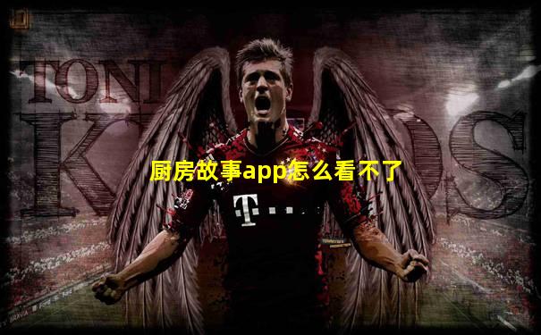 厨房故事app怎么看不了