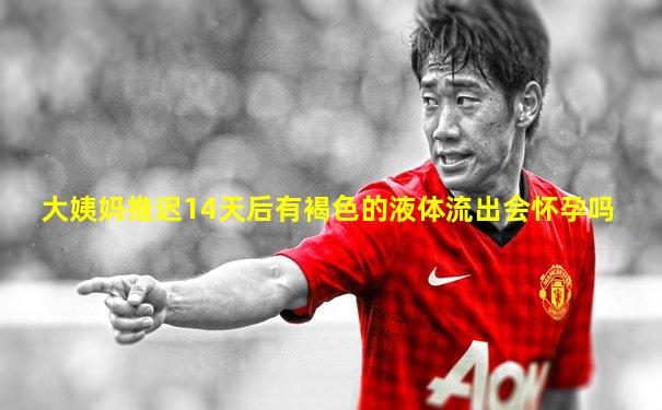 大姨妈推迟14天后有褐色的液体流出会怀孕吗