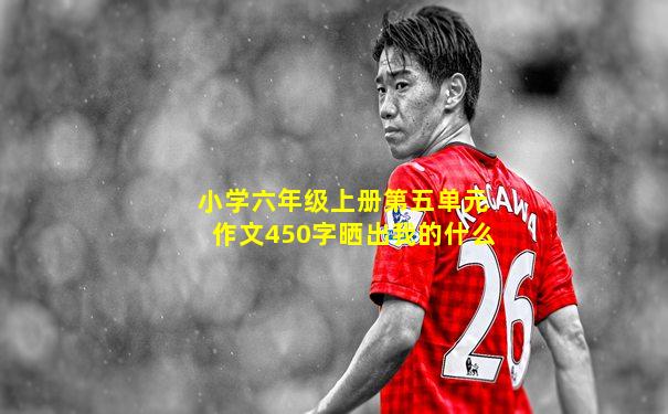 小学六年级上册第五单元作文450字晒出我的什么