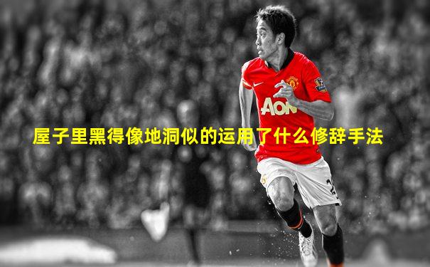 屋子里黑得像地洞似的运用了什么修辞手法