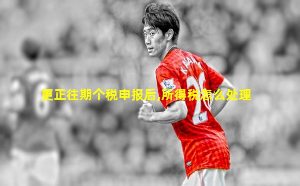 更正往期个税申报后,所得税怎么处理