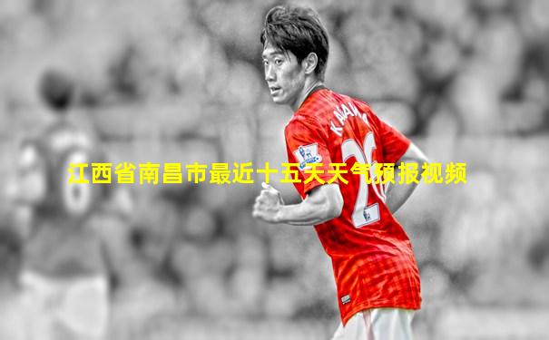江西省南昌市最近十五天天气预报视频