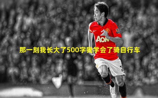 那一刻我长大了500字我学会了骑自行车