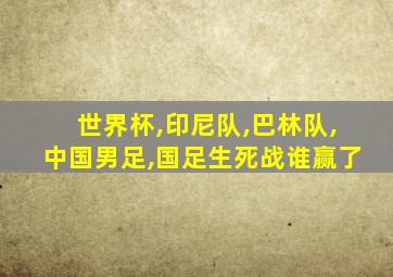 世界杯,印尼队,巴林队,中国男足,国足生死战谁赢了