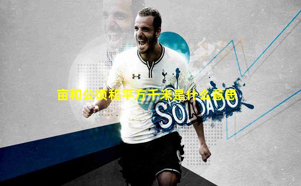 亩和公顷和平方千米是什么意思