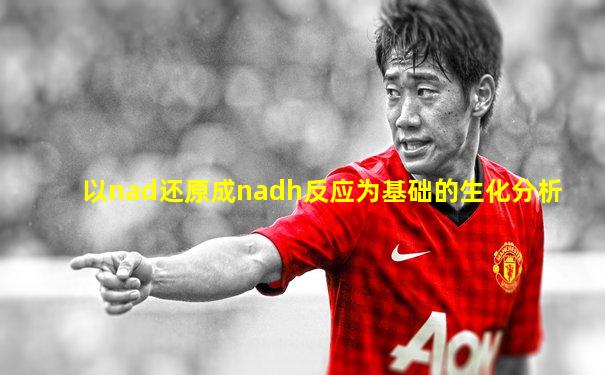 以nad还原成nadh反应为基础的生化分析