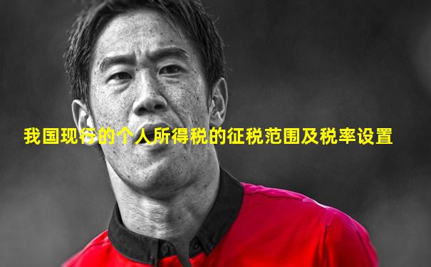 我国现行的个人所得税的征税范围及税率设置