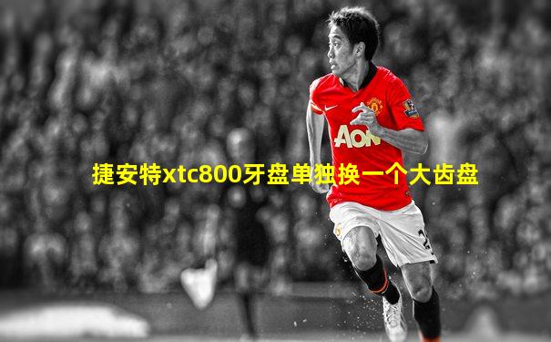 捷安特xtc800牙盘单独换一个大齿盘