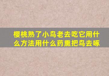 樱桃熟了小鸟老去吃它用什么方法用什么药熏把鸟去啄