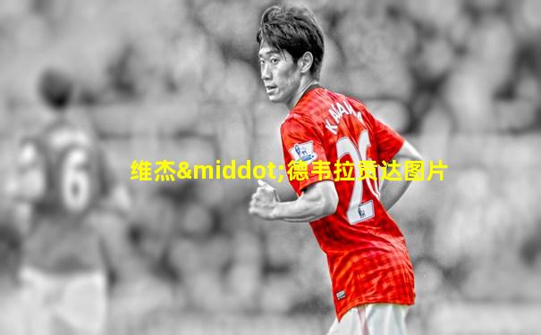 维杰·德韦拉贡达图片