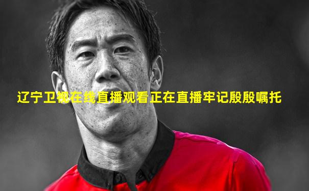 辽宁卫视在线直播观看正在直播牢记殷殷嘱托