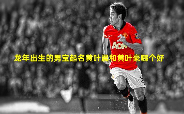 龙年出生的男宝起名黄叶晨和黄叶豪哪个好